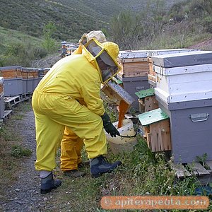 foto de Marusela y Miguel Angel en su colmenar de Patones HD